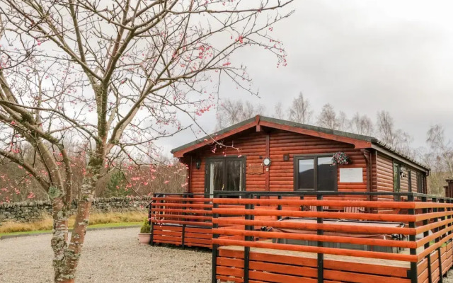 Wildcat Lodge