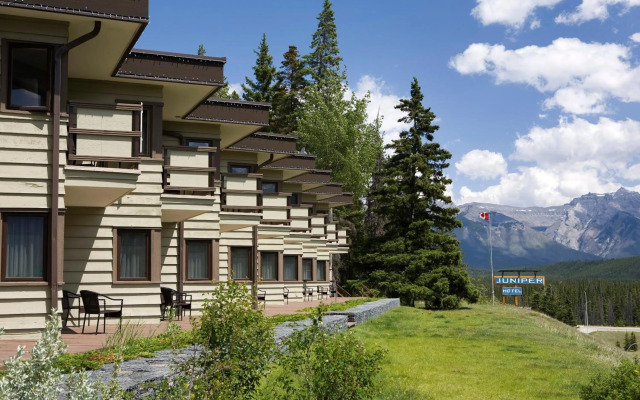 The Juniper Hotel