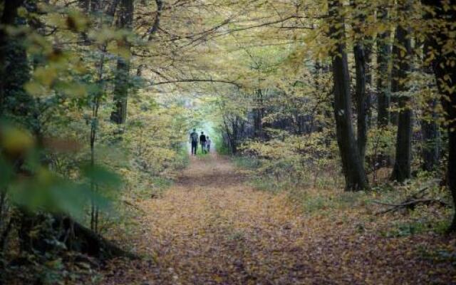 Penzión Skalná ruža - Kövirózsa panzió