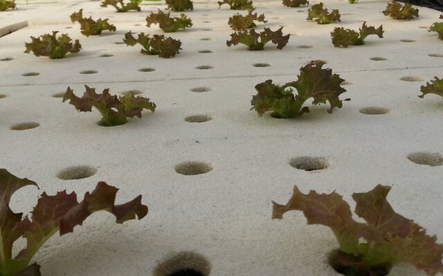 Montharntham Resort Ruknailuang