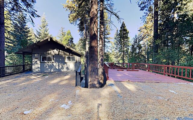 New Listing! Serene W/ Forest-view Decks 4 Bedroom Home