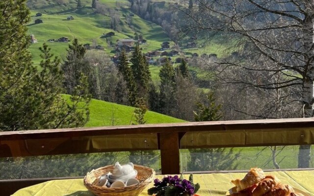 Engel Ingold Lodge Chalet B Rgbl mli Habkern