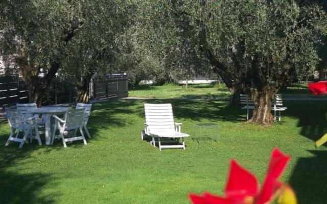 Olive Tree House