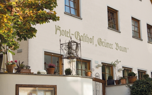 Hotel Restaurant Grüner Baum und Altes Tor