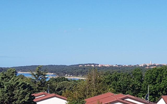 Apartment Paša