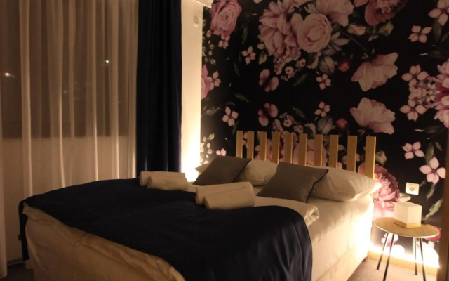 Luxury Apartments Taša