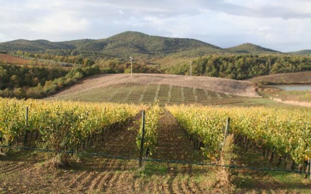 The House With Terrace