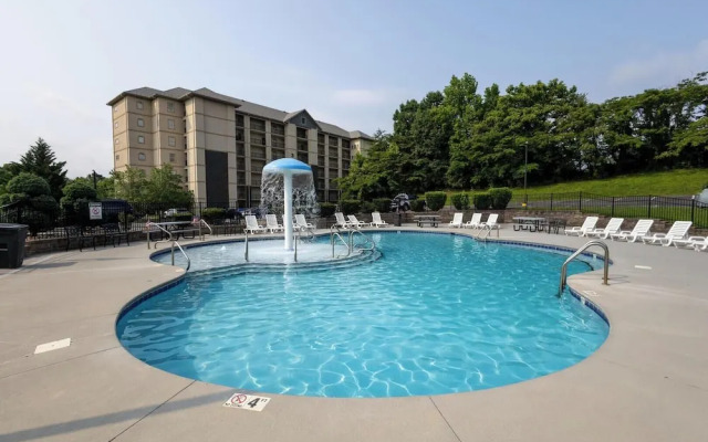 Mountain View Condo 1501