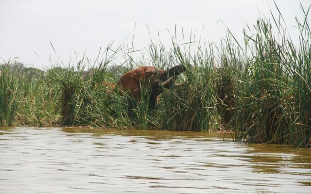 Lake Jipe Safari Camp