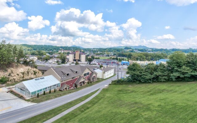 Whispering Pines by Vtrips