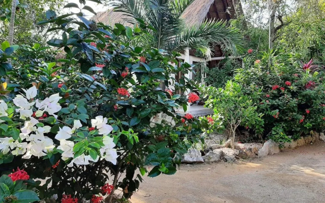 Hotel Roc Luxe Tulum - Adults Only