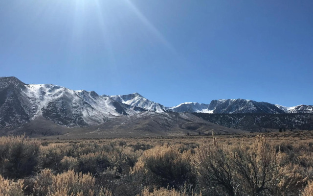 Mountainback #72, Corner Unit