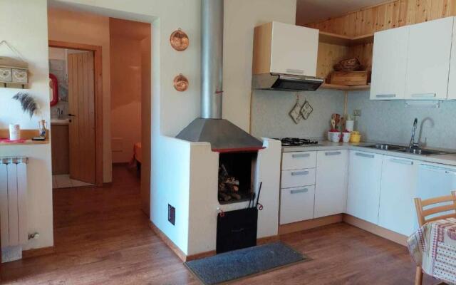 Betulla Bianca Bedollo Ospitar