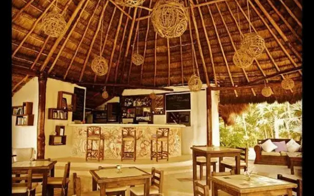 Casa Violeta