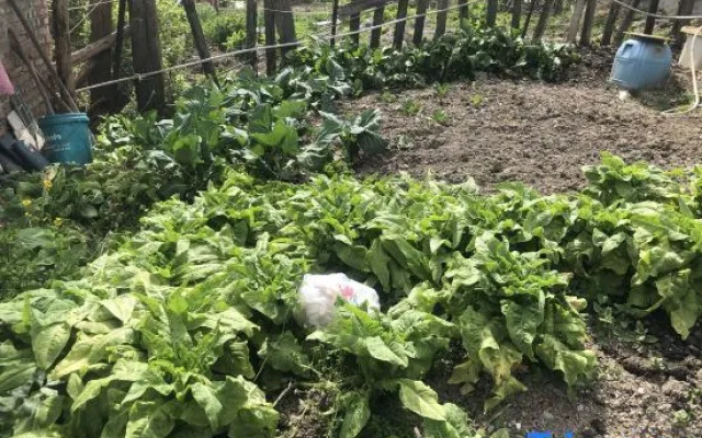 Ya'an Gasa Tibetian Inn