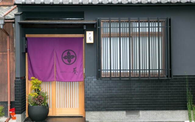 Hosta Nijo Aoi