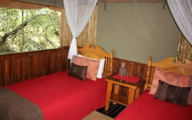 Offbeat Safaris