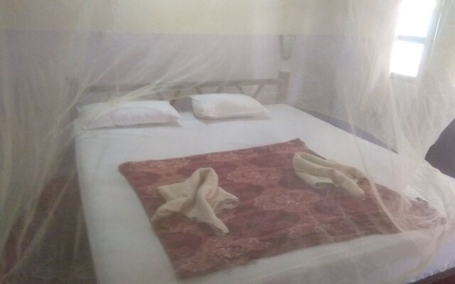 Golden Dreams