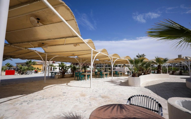 Calimera Blend Paradise