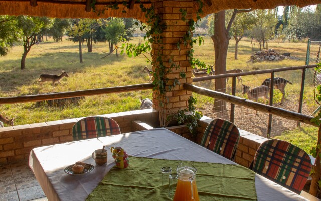 Airport Bird & Game Lodge