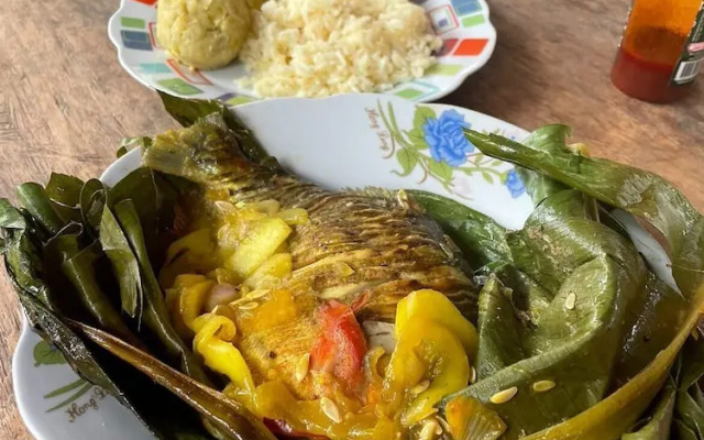 Hostal Búho Amazonas Tours - Hostel