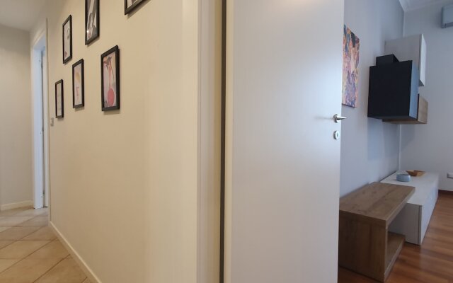 BnButler - Venini 14