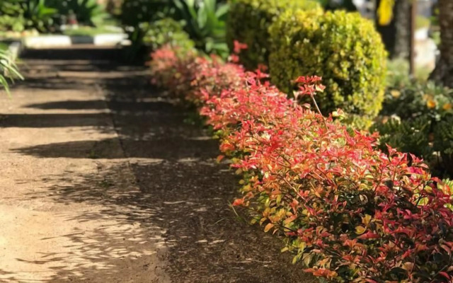 Pousada Quinta dos Colibris