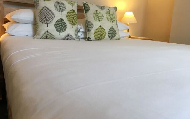 Ivydene Guest House