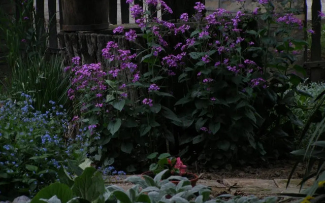 Apartments Bakine Čarolije