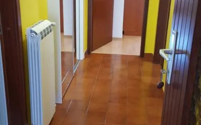 Apartment Kalin