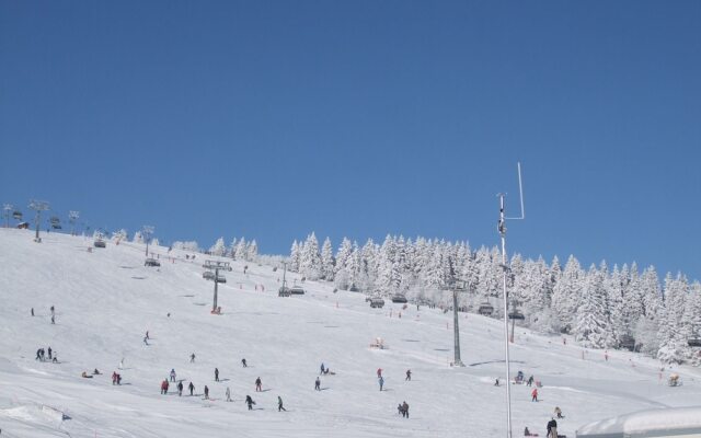 Serene Apartment in Todtnauberg with terrace