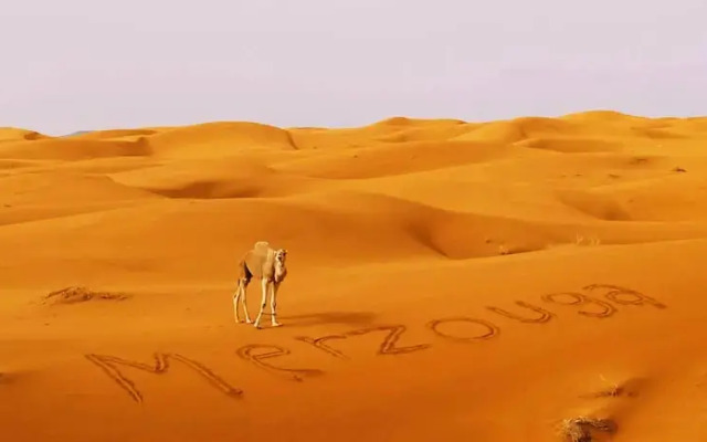 Sahara Camp famille