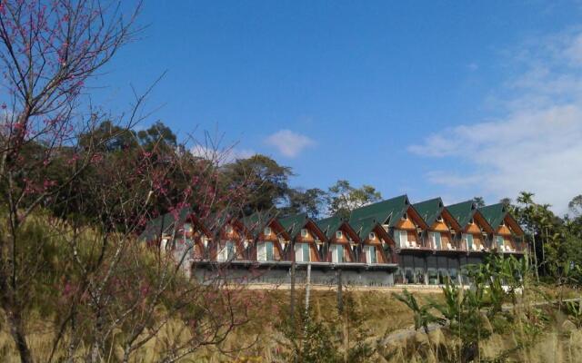 Yulan Green Roof
