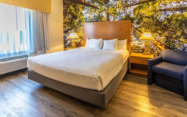 The Hanford Hotel, an Ascend Collection Hotel