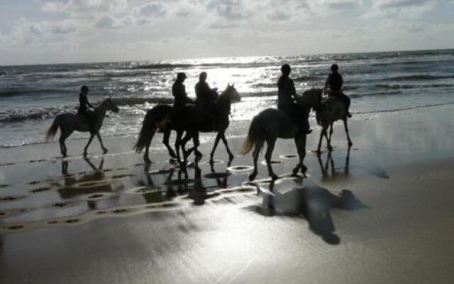 Le Cheval Autrement
