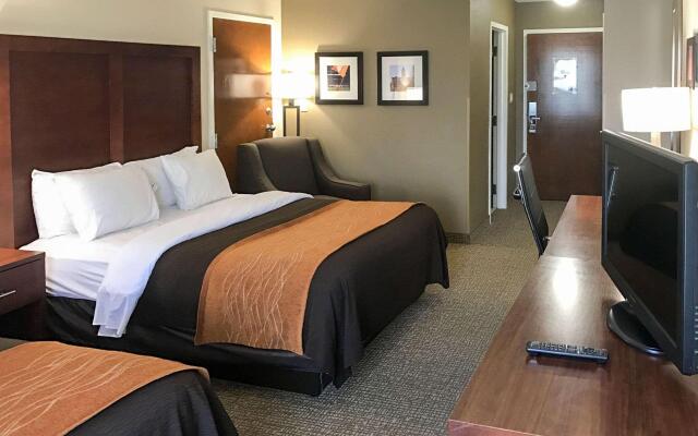 Comfort Inn & Suites Clemson - University Area