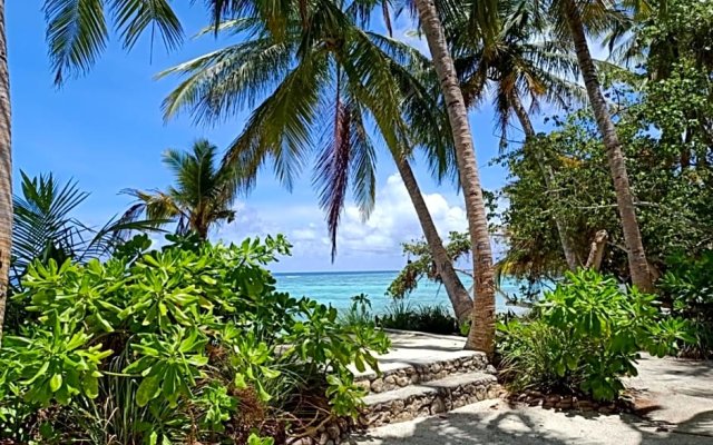 Island Life Maldives Retreat & Spa