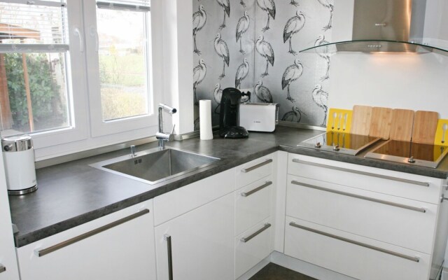 Kegelrobbe Norden in Norden