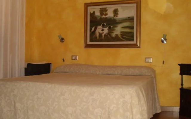 B&B Araxi