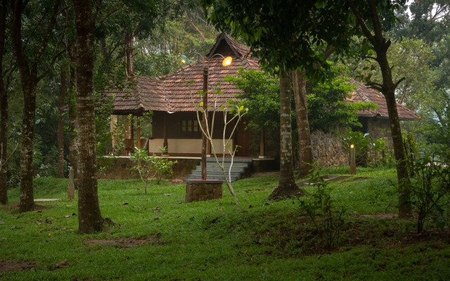 The Quiet by the river