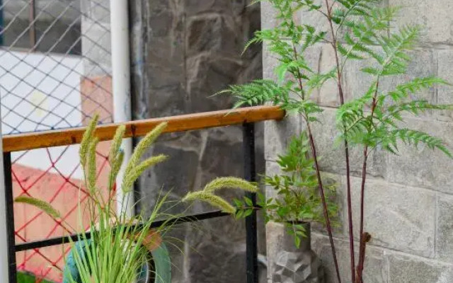 Wenzhou Qishui Sanshe Homestay