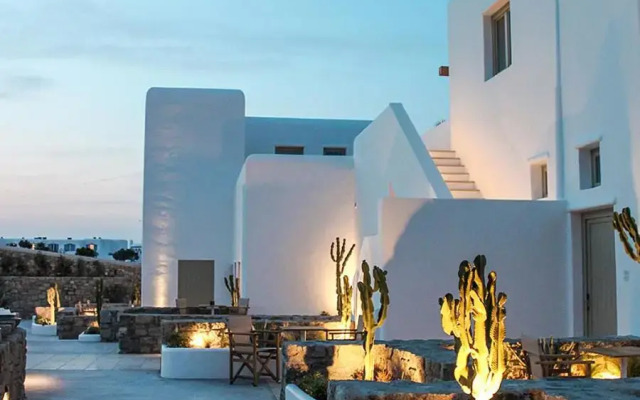 Mykonos Cactus