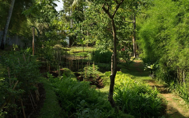 Sayan Ubud Guest Houses