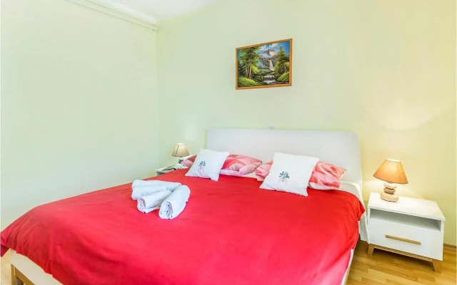 Apartment Nedescina 47