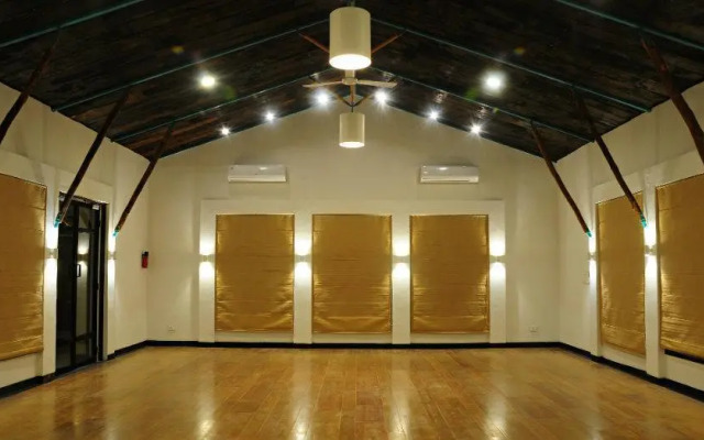 Trees N Tiger Sariska