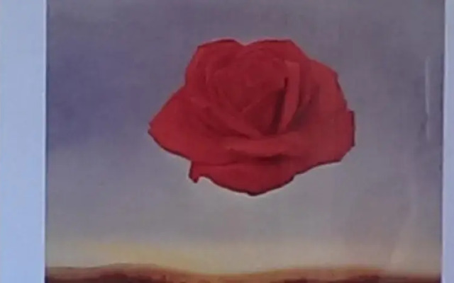 Roses Garden