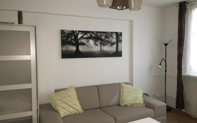 Apartman Ortenova 74