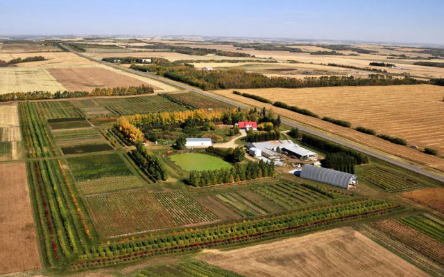 The Honeyberry Inn B&B