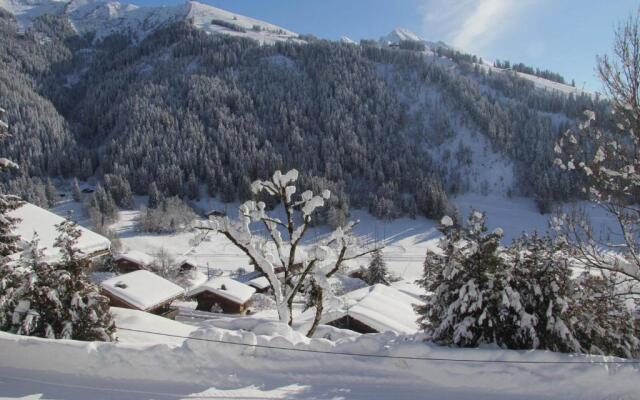 Appartement La Clusaz, 2 pièces, 6 personnes - FR-1-459-47