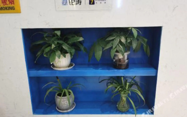 7 Premium(Shiyan Railway Station Store)